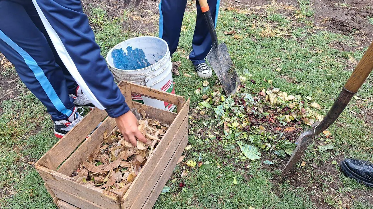 Huerto escolar (2)